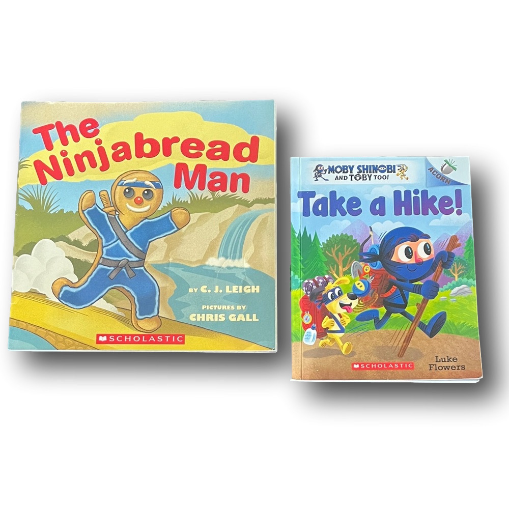 🇺🇸2 Ninja themed Children’s Books